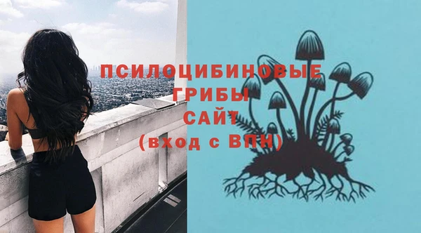 амф Абдулино