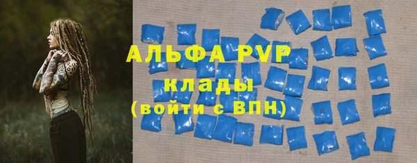 хмурый Осинники