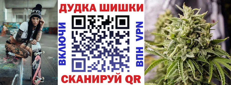 Бошки Шишки план  Болотное 